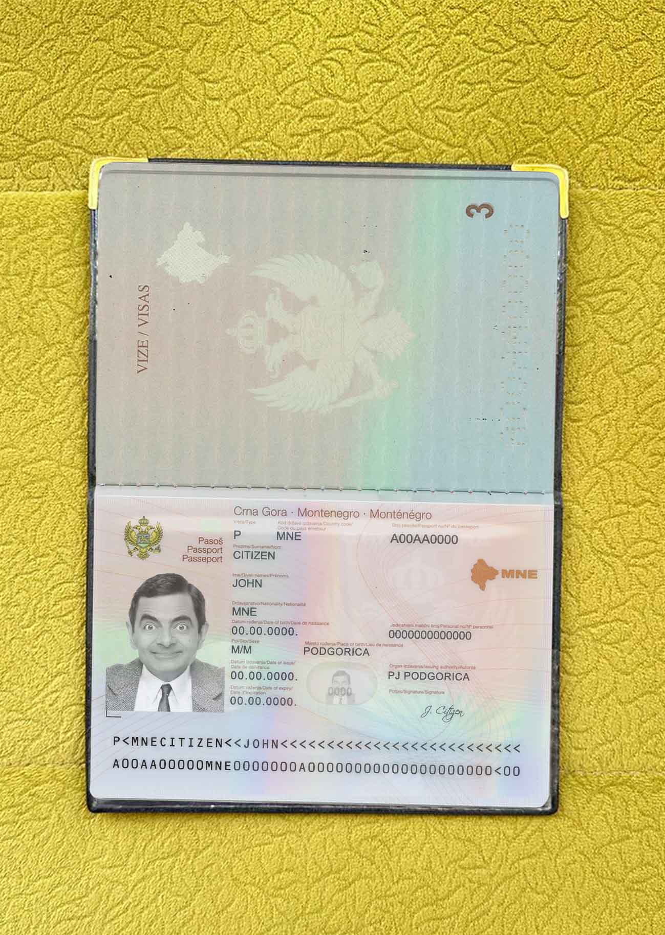 Montenegro passport photo look PSD template